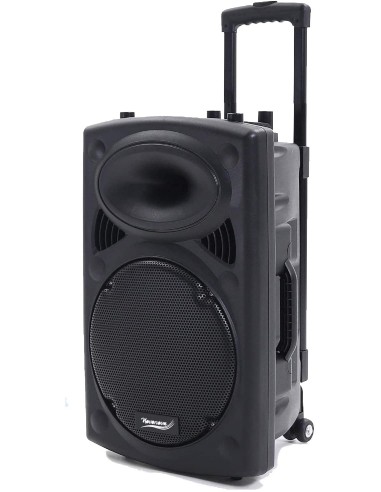 Novonova Enceinte Sono Portable 15"/38cm 900W LED RVB, Haut parleur avec Micro Sans Fil & Micro Fil, Support Lecteur MP3