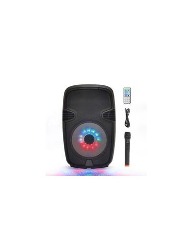10 VHF - Enceinte Sono Portable 10" 500W à LED RVB - Haut Parleur Bluetooth avec Micro Sans Fil,Lecteur MP3,USB